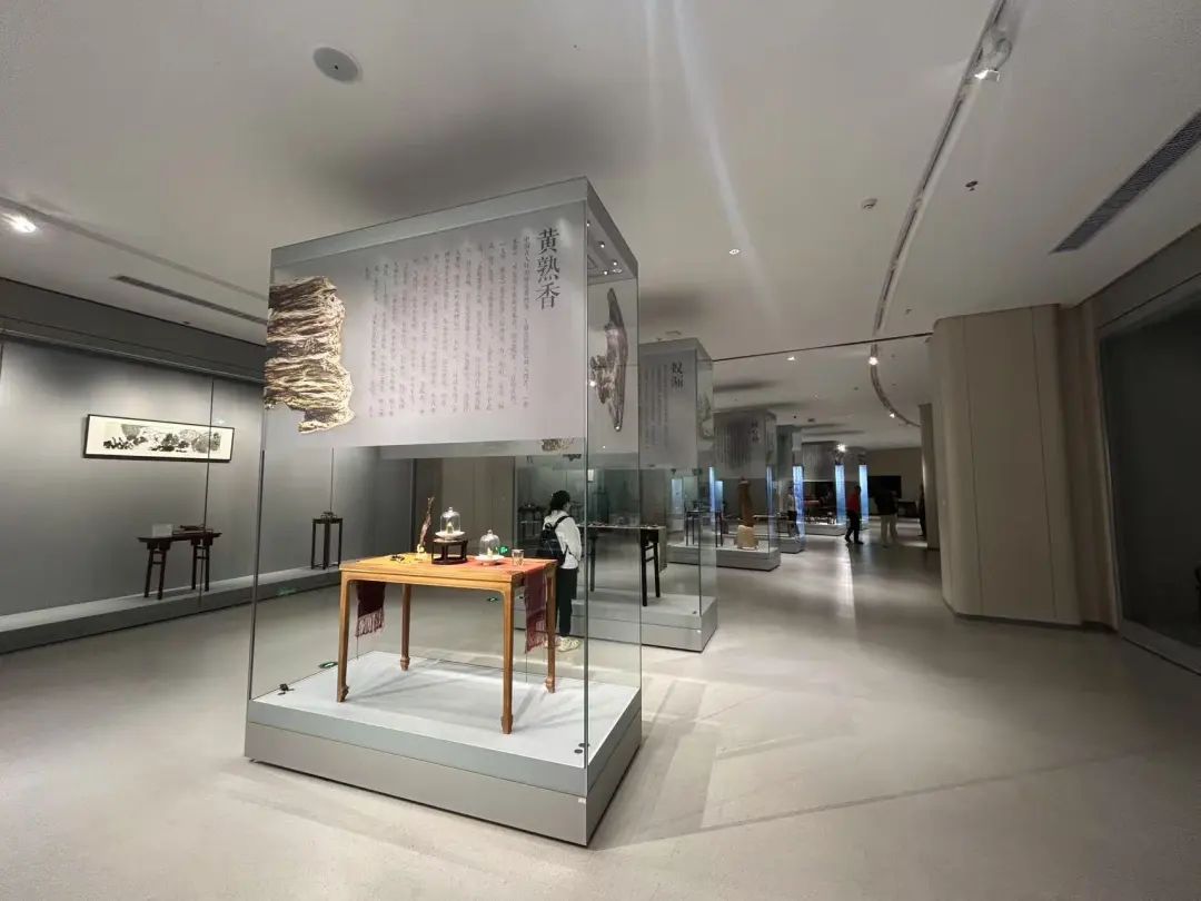 崖香雅事，千年流芳——海南沉香结香制香技艺主题展探访