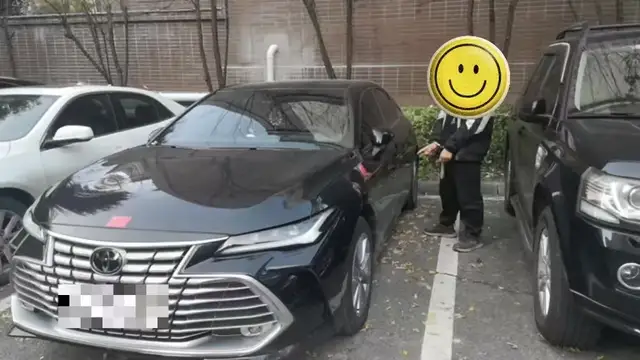 民生无小事！新蒲警方快速破获一起“拉车门”盗窃案