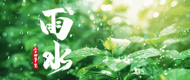 海南的雨水和茶叶，都开始偷偷卷起来了~