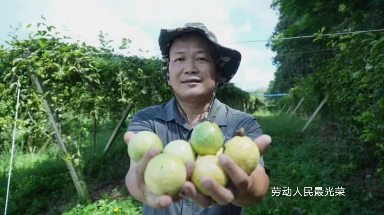 黄金百香果“钦蜜9号”，百香果中的“爱马仕”，至爱非你莫属