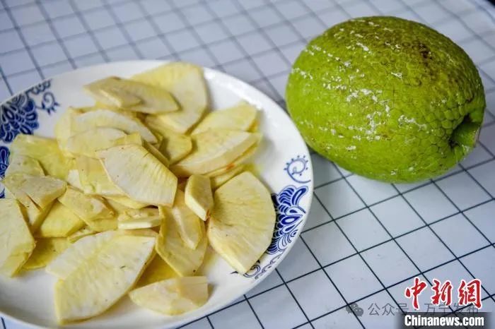 央媒看万宁｜海南侨乡万宁拓展热带特色农业新赛道