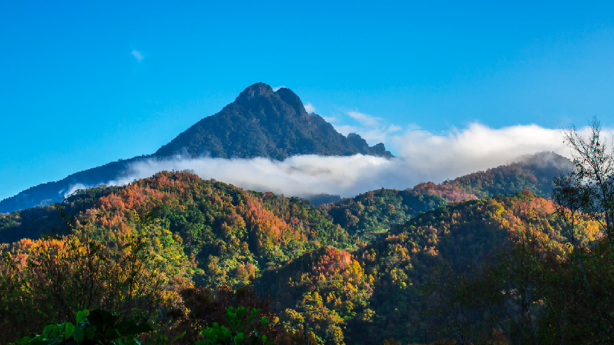 轻松获得松弛感！来五指山，开启一趟治愈之旅
