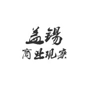 盖锡商业观察的头像