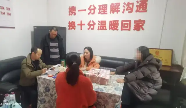 亲情归处，赔偿有度——法庭四十余次沟通化解家庭共有纠纷