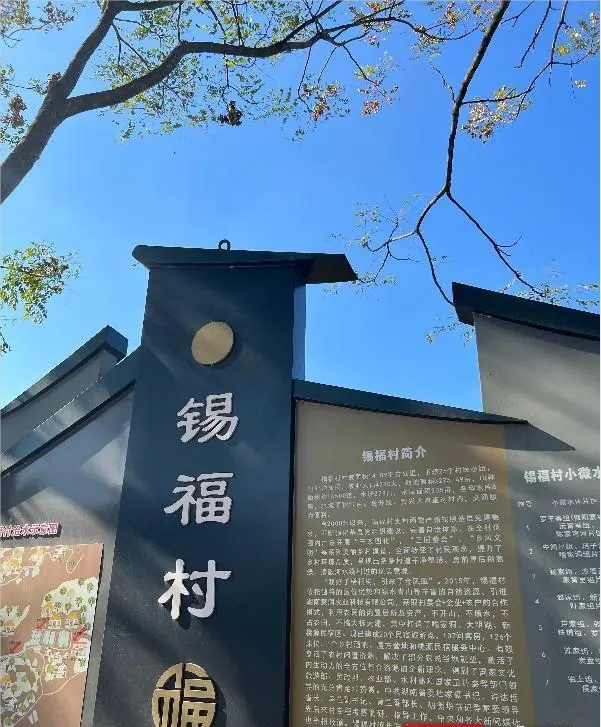 【百村寻访】锡福村：激活新质生产力，点亮希望的田野