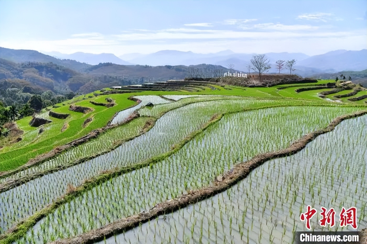 遇见海南：牙胡梯田叠翠绘春色