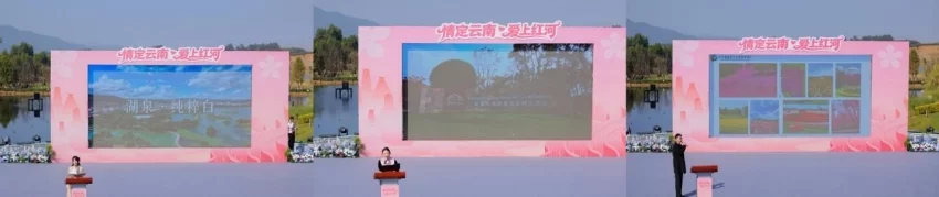 海拔1314米处邂逅浪漫，“情定云南·爱上红河”盛启(图5)