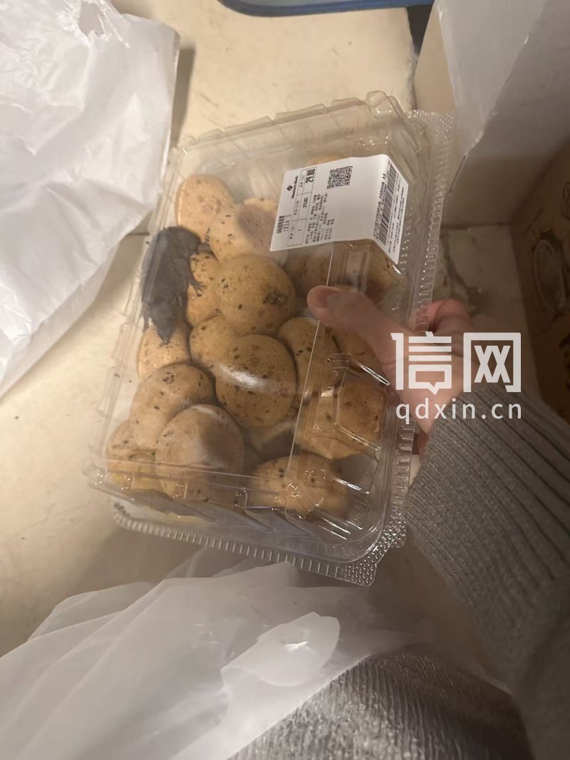 山姆“极速达”麻薯盒内现活老鼠 24只麻薯老鼠先吃了俩