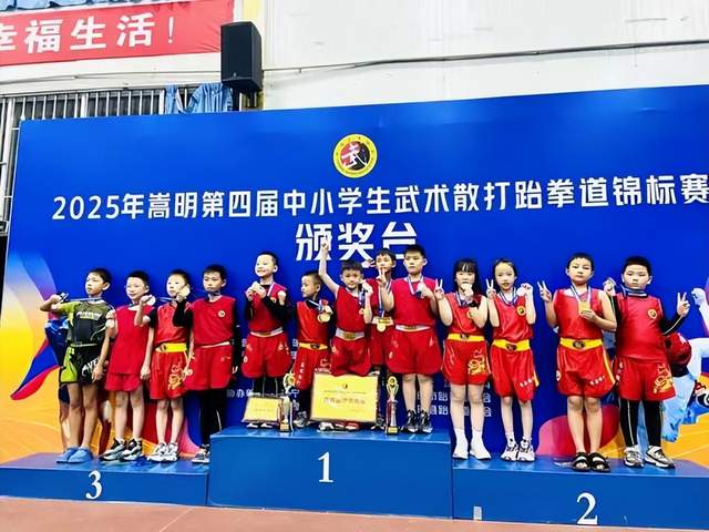 嵩明举办第四届中小学生武术、散打、跆拳道锦标赛暨昆明公开赛