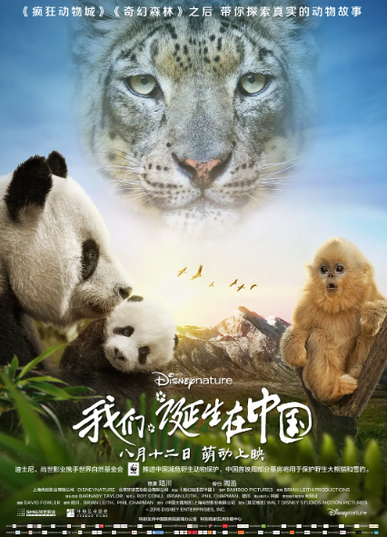 《我们诞生在中国》到底讲了什么，值得8.9分吗