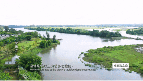 走进潭丰洋湿地—特色“田洋”感受生态好风光
