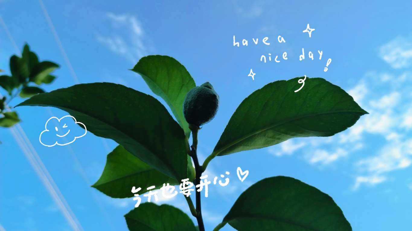 山与风的守望