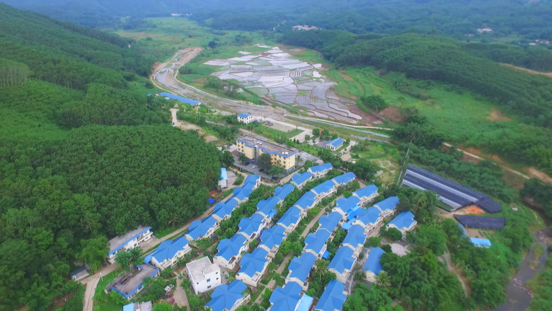 罗帅村：乡村振兴绘就别样世外桃源