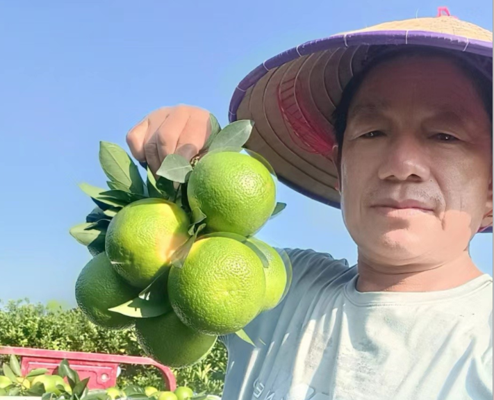 【军创故事】鹏洋农业科技何向阳：与鳄鱼养殖相结合，种出绿橙好味道