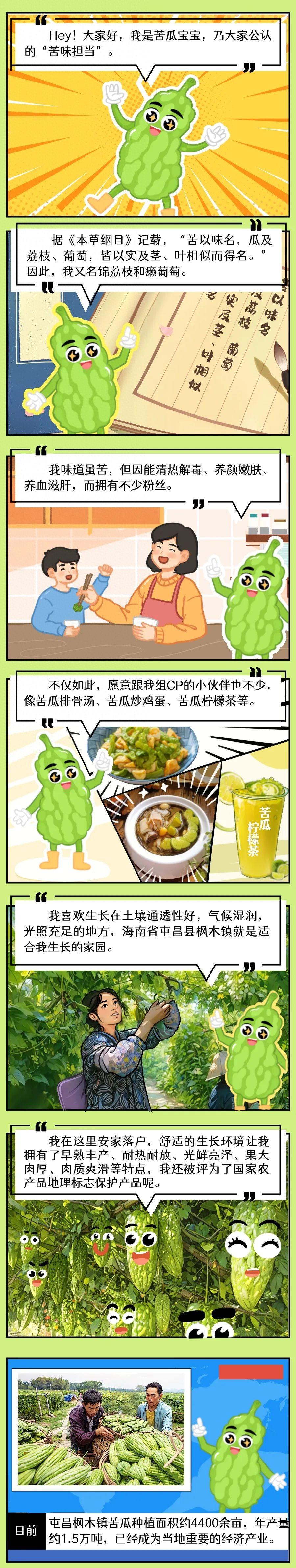 【万千气象看海南·基层瞭望在屯昌】“Hey！大家好，我是苦瓜宝宝……”