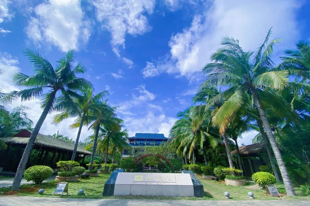 夏天不如走进万宁的乡村，把清凉装进心里