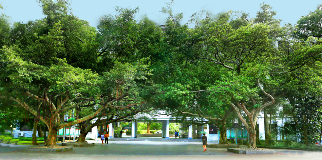 不同年代的海南师范大学长啥样？这些海师er有话说→