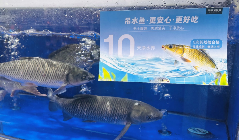 京东七鲜吊水鱼11.11抢“鲜”上市 三重检测更诠释安心美味