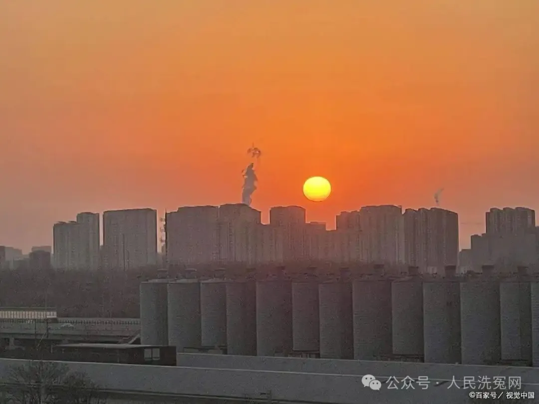 老槐树下的寻亲盼 —— 东张村张家的海峡牵挂