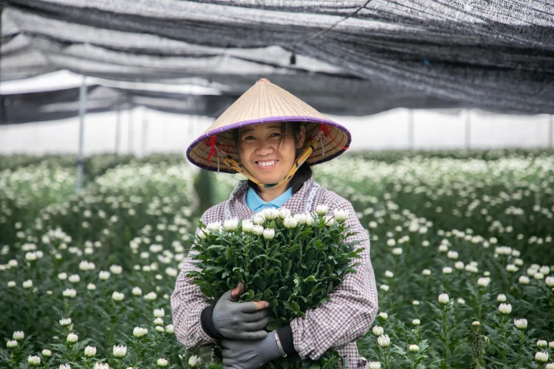 产量预计达3.57亿支！东方，走出新“花路”