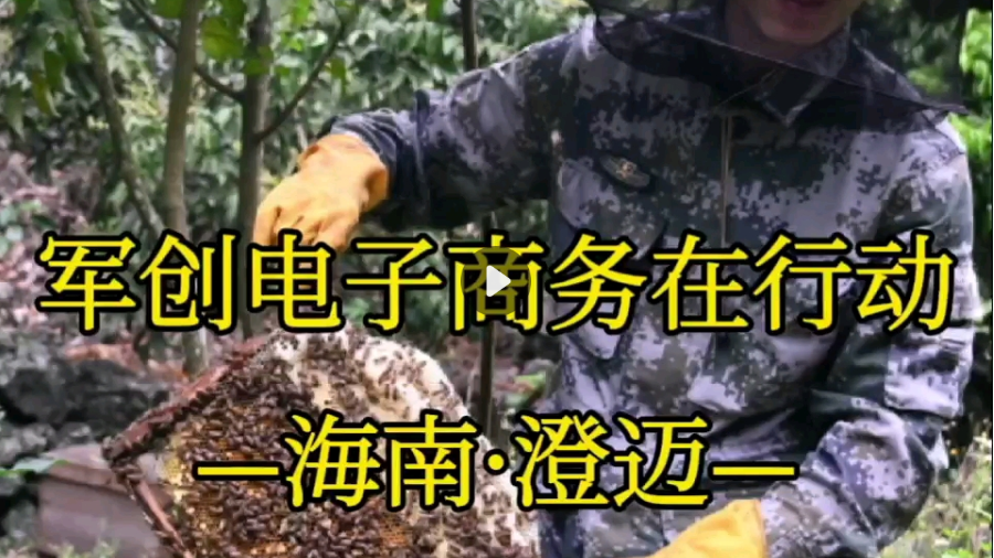 海南省退役军人就业创业促进会·澄迈分会