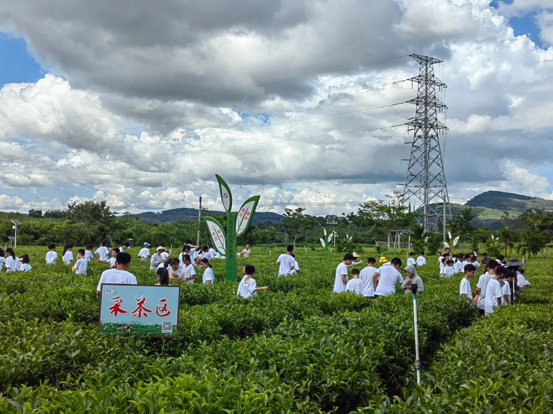 白沙：打造特色研学旅游线路 赋能文旅多元化发展