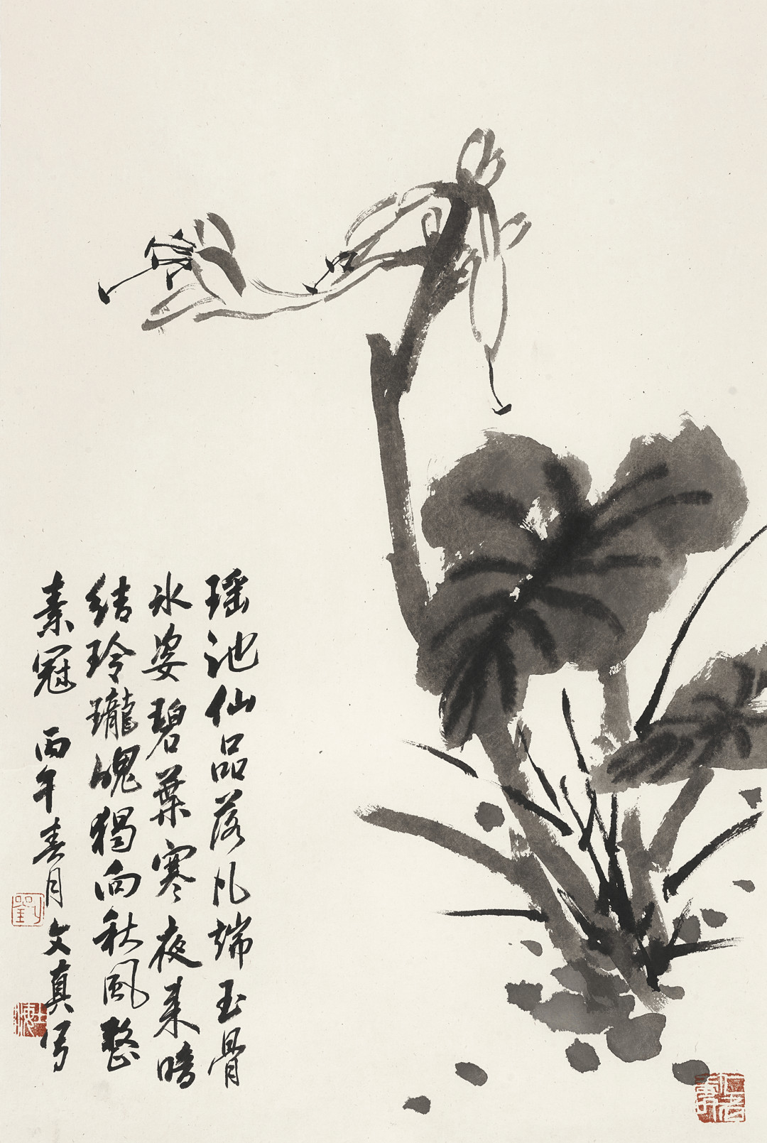 文章配图-1