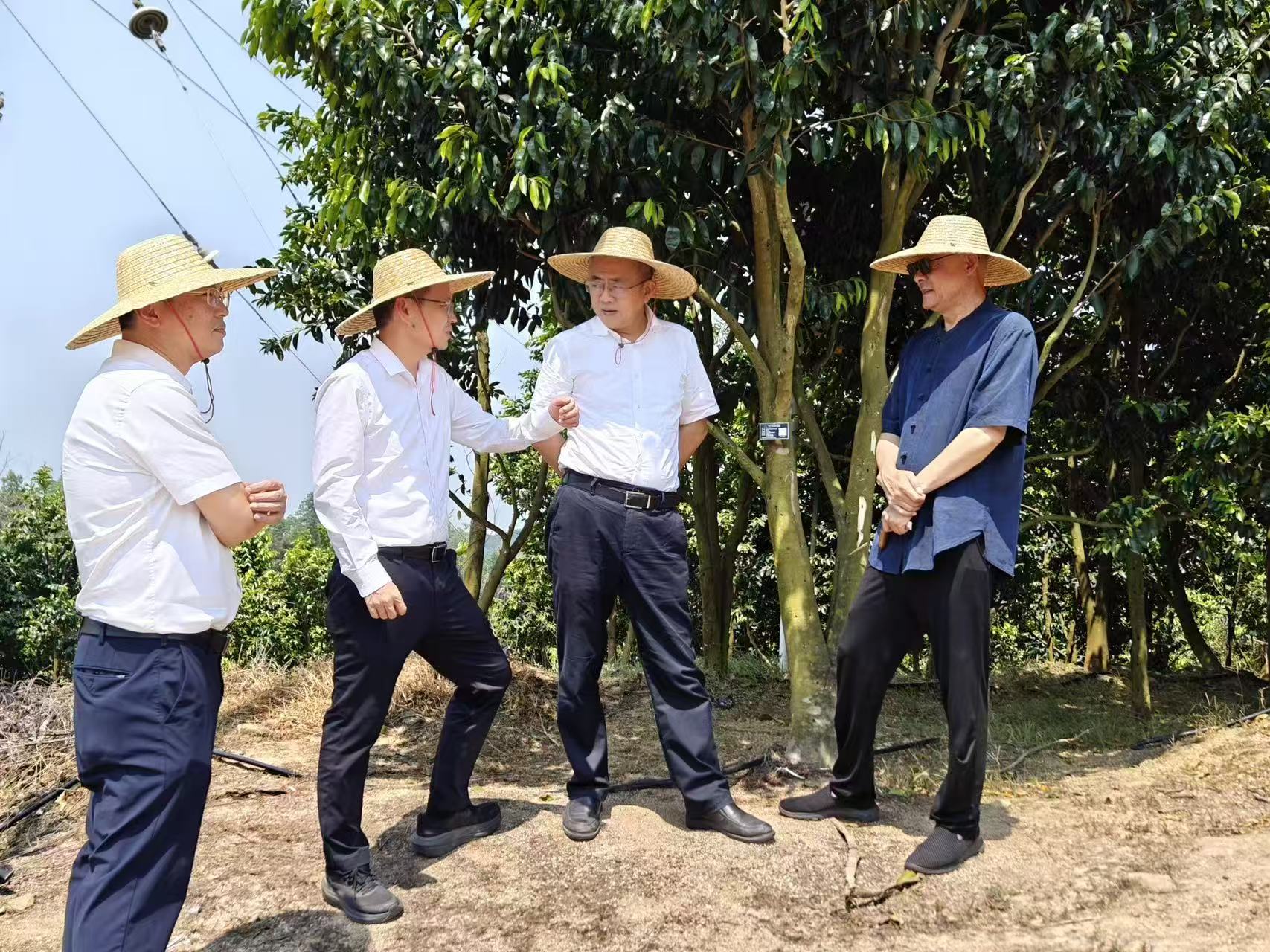 海南省林业局局长刘钊军到海南大观沉香琼中基地考察调研
