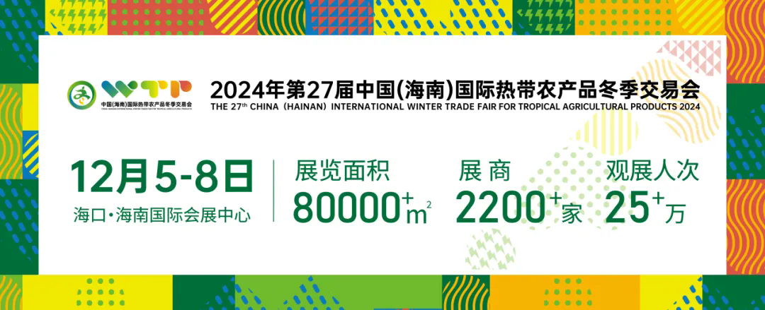 聚焦2024海南冬交会：“四大注重”、“四个首次”，看点十足！