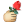 [献花花]