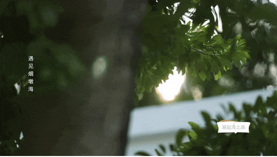 万宁龙滚好去处！走进滨海诗意村落品味慢生活