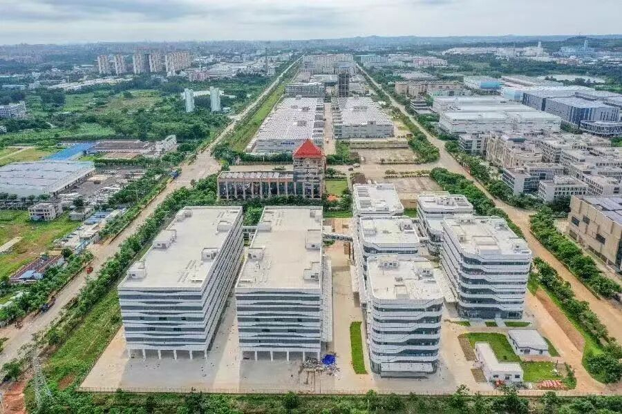 全球企业都青睐的海口，有什么魅力？