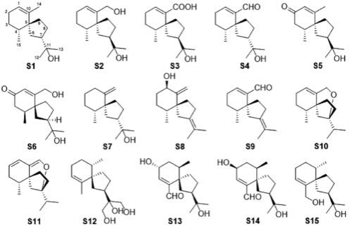 【连载】2024中国沉香产业发展报告第二章第二节 | 沉香的化学成分研究（5）