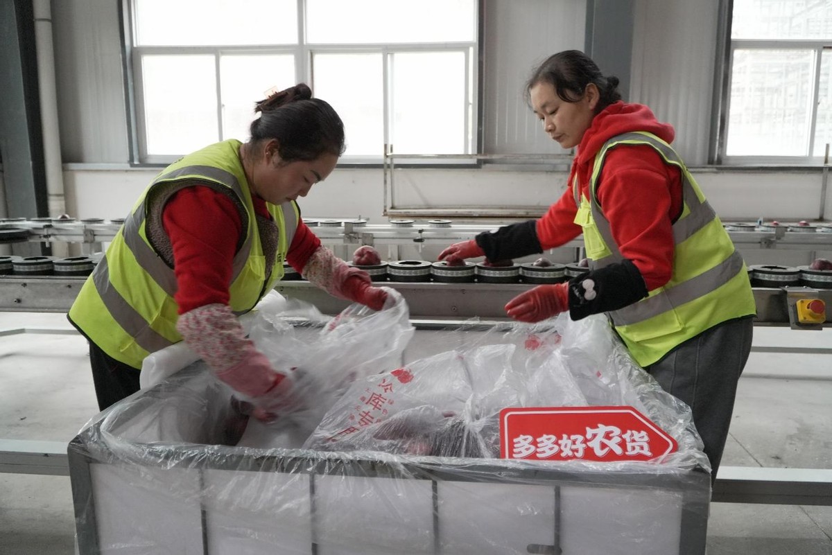 人民日报“晚安短信计划”第11年 拼多多引领电商西进获关注