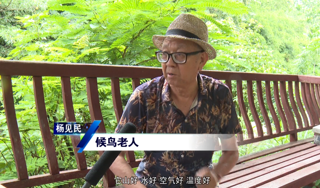 五指山：海南的热岛凉山 “候鸟”的凉夏家园