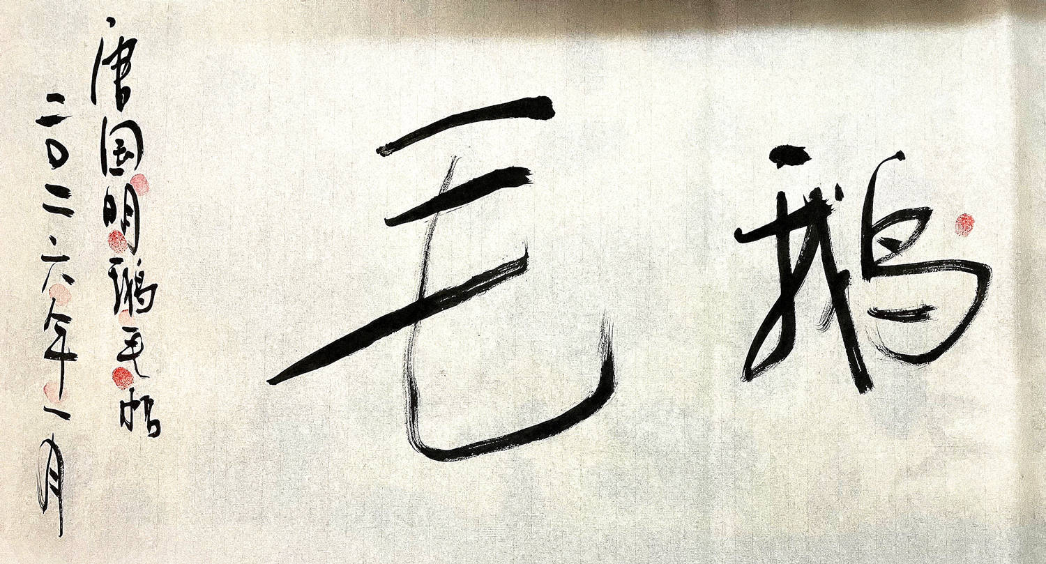 鹅毛2.jpg