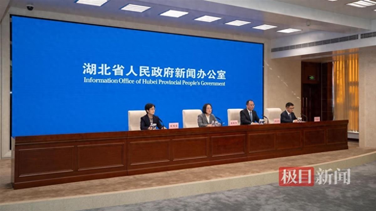 智汇荆楚播种未来，湖北农博会即将带来“最炫年货宴”