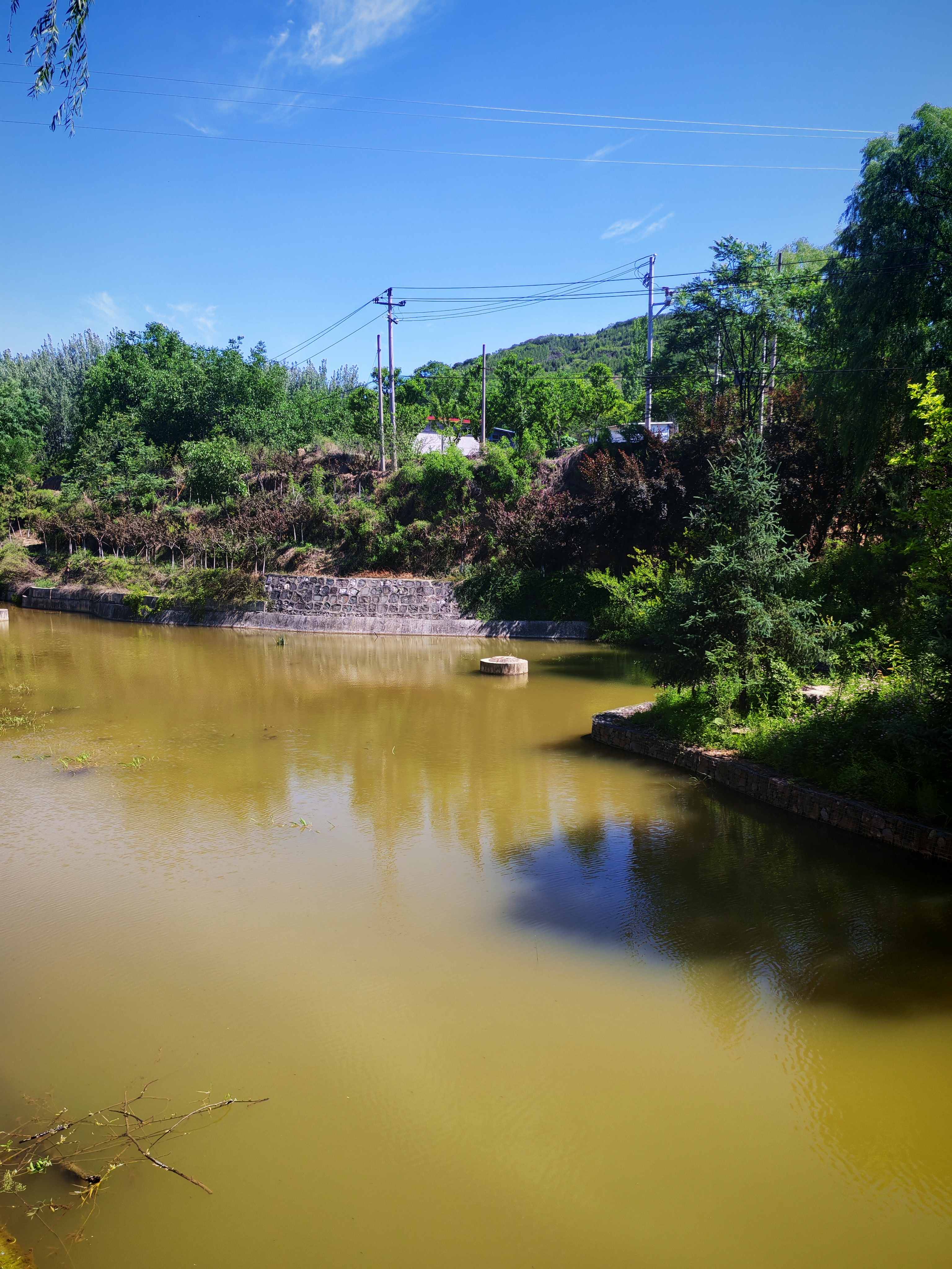天热了，就来铜川王家河湿地公园（2）