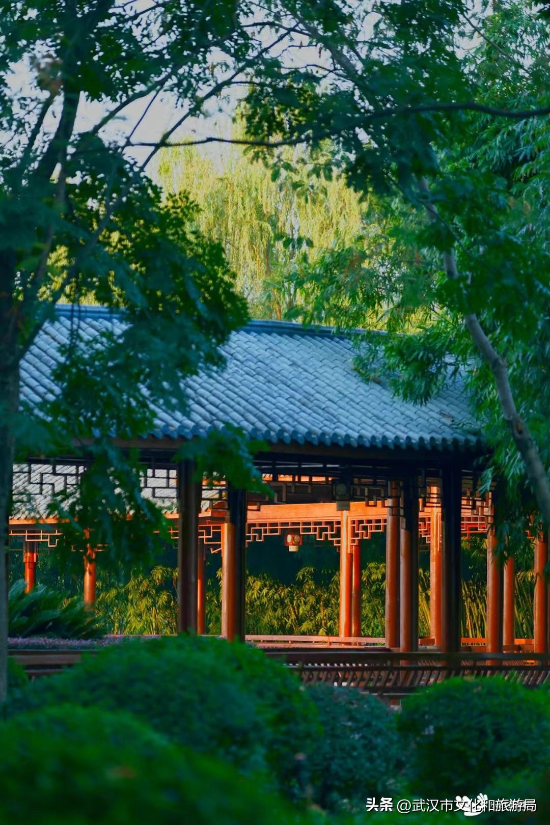 东西湖这个公园，可以打卡千千万万次！