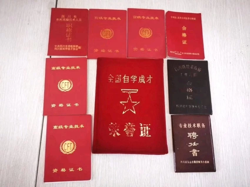【中岩书院】专利破局 健康启航——张仲安携七大核心专利诚邀全球伙伴共拓千亿市场(图9)