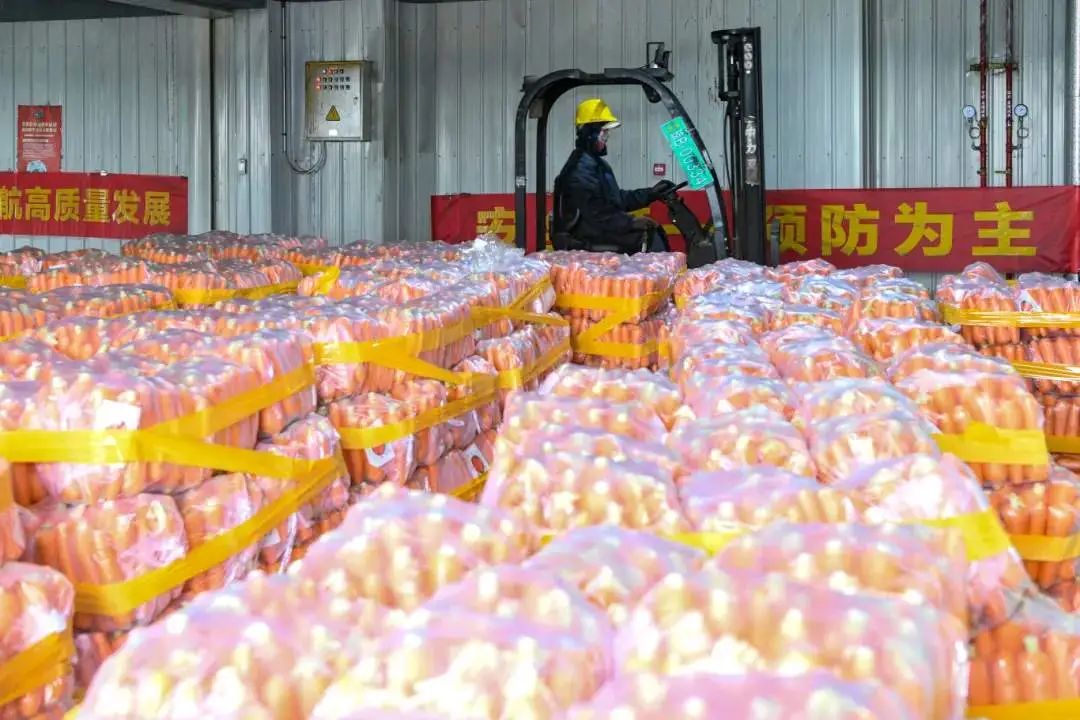 迎战“摩羯”：海口4500吨蔬菜储备保供应！