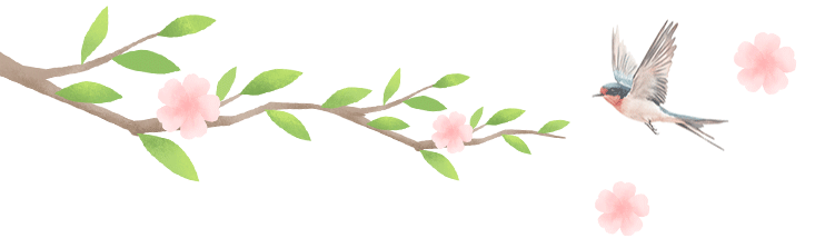 欢迎进入海南的“花花世界”