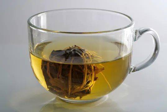 为什么海南人都喜欢喝鹧鸪茶？