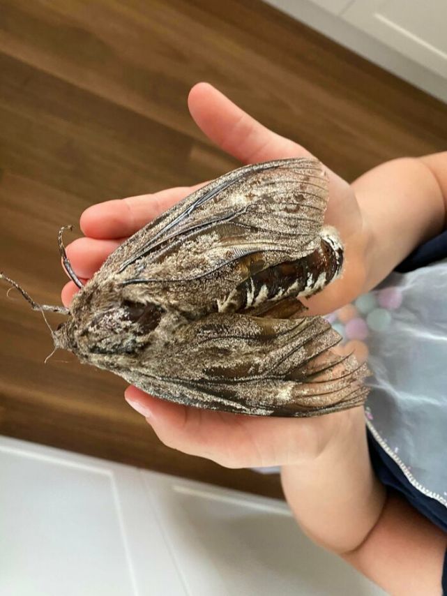 32张见所未见的照片，证明大自然无所不能
