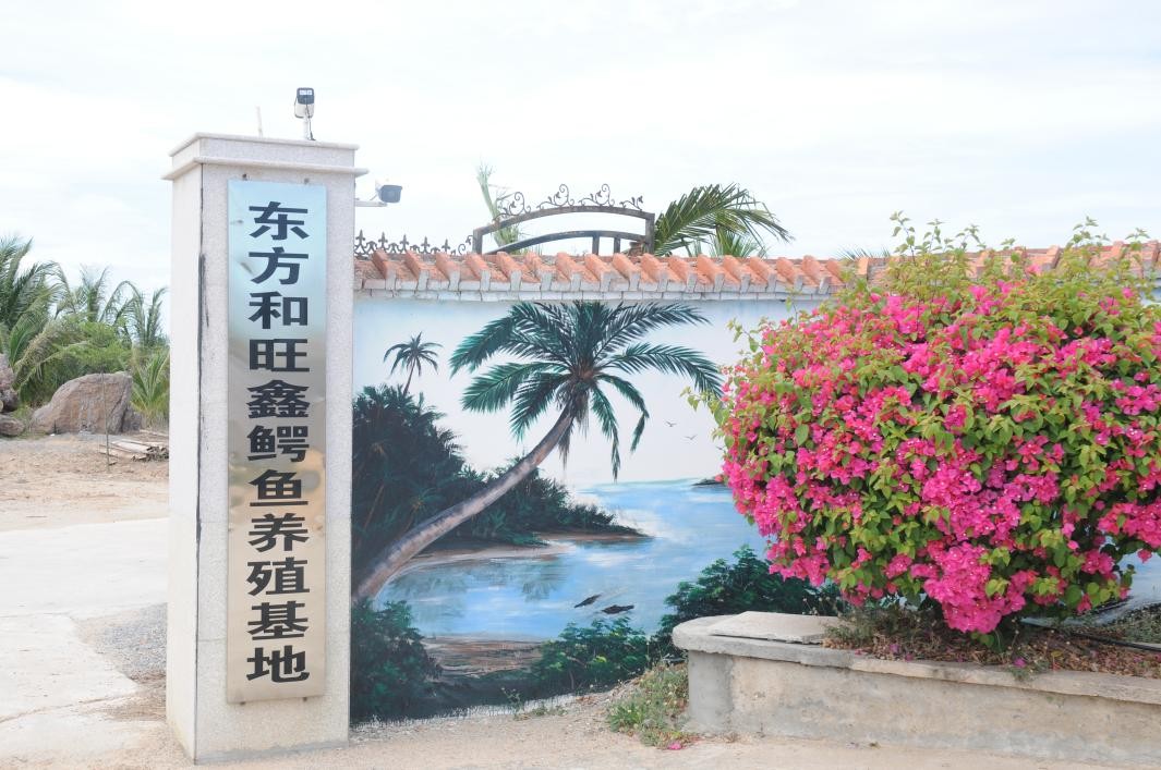数字赋能军创产业——东方站、昌江站