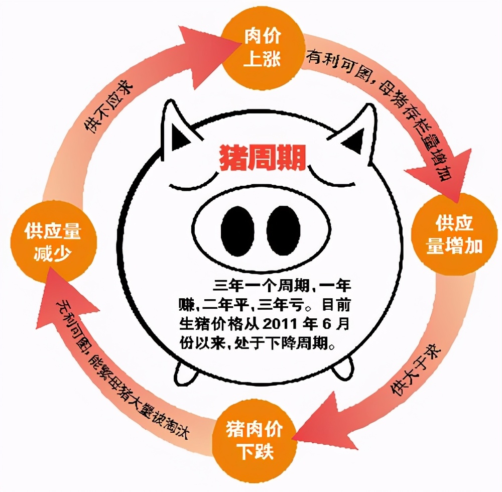 用肉偿巨债，饿死生猪百万头，中国养猪第一股退市
