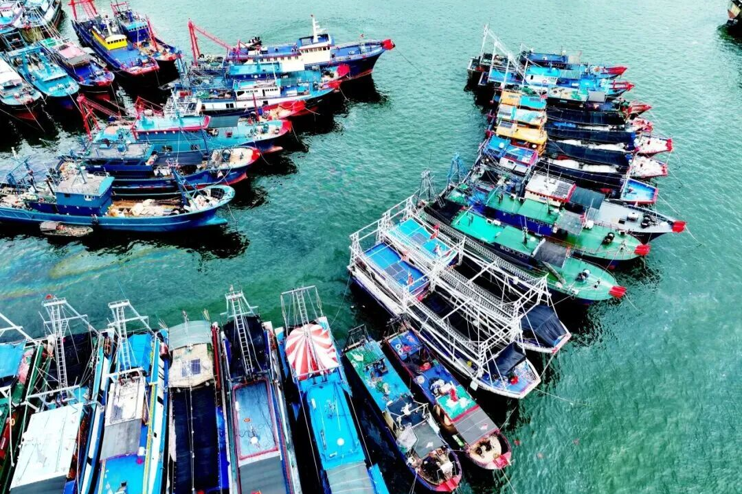 来临高，必点美食打卡攻略！
