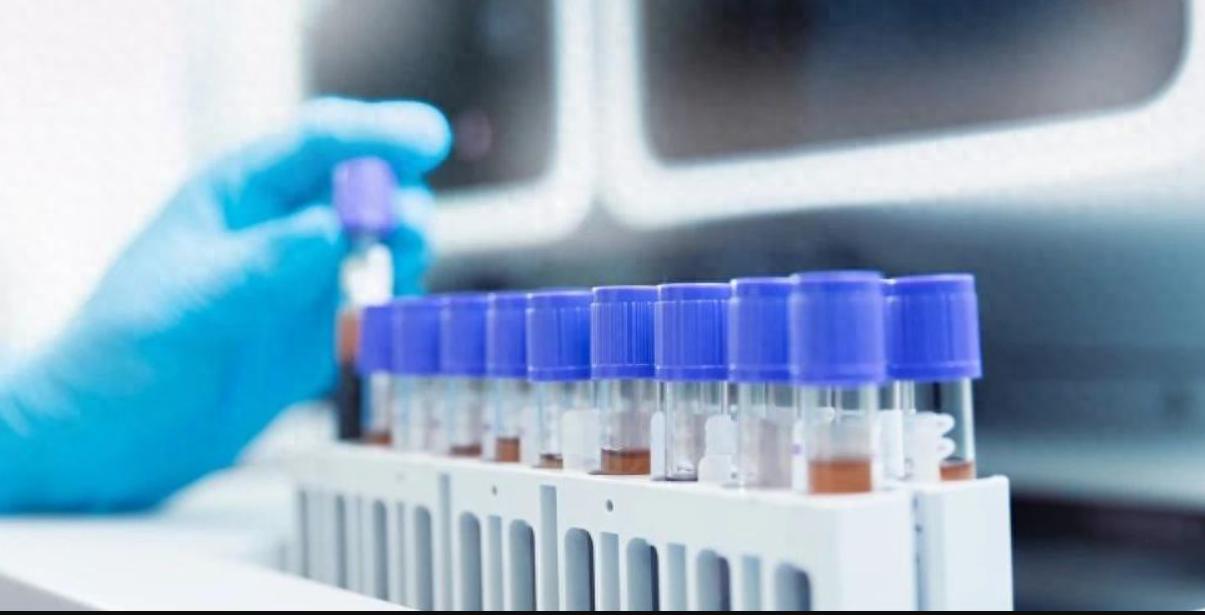 和铂医药公布首款AI候选药物LET003优异临床前数据
