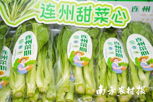 新春椰城“连味”浓！连州特色农产品组团走进海南海口