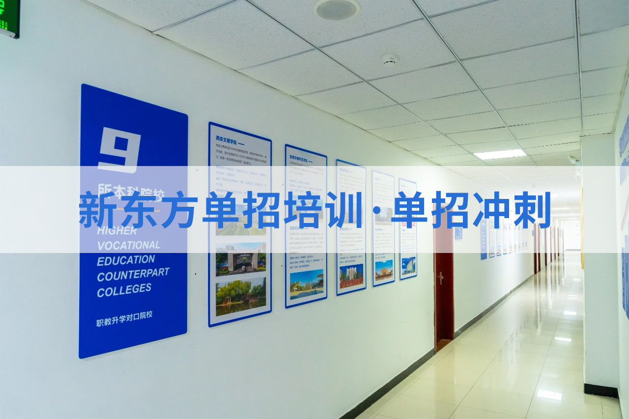 以师者之心，为单招学子照亮升学路——我所推荐的新东方单招培训
